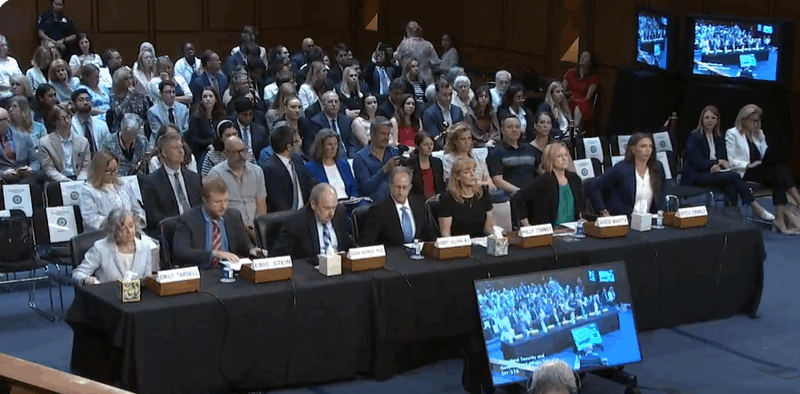 Witnesses on the Senate Permanent Subcommittee on Investigations